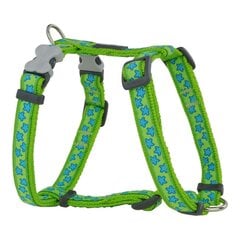 Упряжь для собак Red Dingo Style Звезда Зеленый 25-39 cm цена и информация | Ошейники, подтяжки для собак | pigu.lt