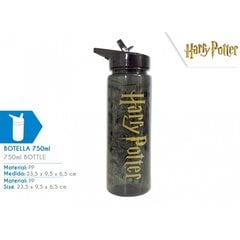 Gertuvė Harry Poter, 750 ml цена и информация | Фляги для воды | pigu.lt