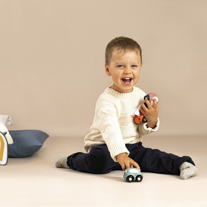 Žaislinės transporto priemonės dėžėje - Little Smoby kaina ir informacija | Žaislai berniukams | pigu.lt