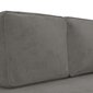 Dvivietė sofa-lova, Aksomas, šviesiai pilka kaina ir informacija | Sofos | pigu.lt