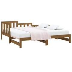 Ištraukiama lova, 2x(80x200) cm, ruda kaina ir informacija | Lovos | pigu.lt