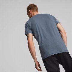Marškinėliai vyrams Puma Evostripe kaina ir informacija | Vyriški marškinėliai | pigu.lt