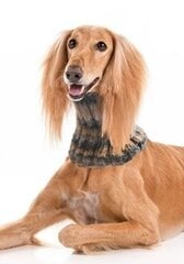 Теплый и красивый шарф для собаки/круглый шарф из мягкой полушерсти цена и информация | Одежда для собак | pigu.lt