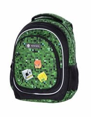 школьный рюкзак Astrabag цена и информация | Школьные рюкзаки, спортивные сумки | pigu.lt