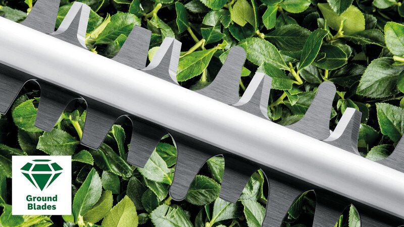 Elektrinės gyvatvorių žirklės Bosch Advanced HedgeCut 70, 06008C0903 цена и информация | Gyvatvorių, žolės žirklės | pigu.lt