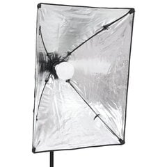 vidaXL Profesionalūs fotostudijos šviestuvai, 2vnt., 40x60cm цена и информация | Осветительное оборудование для фотосъемок | pigu.lt