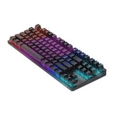 BlitzWolf BW-KB2 Blue switchRGB kaina ir informacija | Klaviatūros | pigu.lt