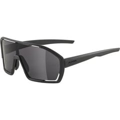 Alpina BONFIRE Running glasses Full rim Black цена и информация | Спортивные очки | pigu.lt