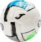 Futbolo kamuolys Joma Dali II 400649.211, 3 dydis цена и информация | Futbolo kamuoliai | pigu.lt