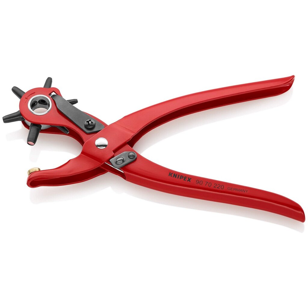 Replės Knipex 9070220 kaina ir informacija | Mechaniniai įrankiai | pigu.lt