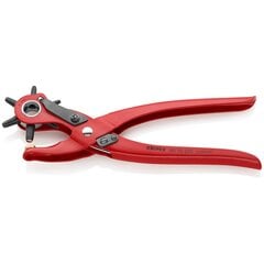 клешни Knipex 9070220 Регулируемый цена и информация | Механические инструменты | pigu.lt