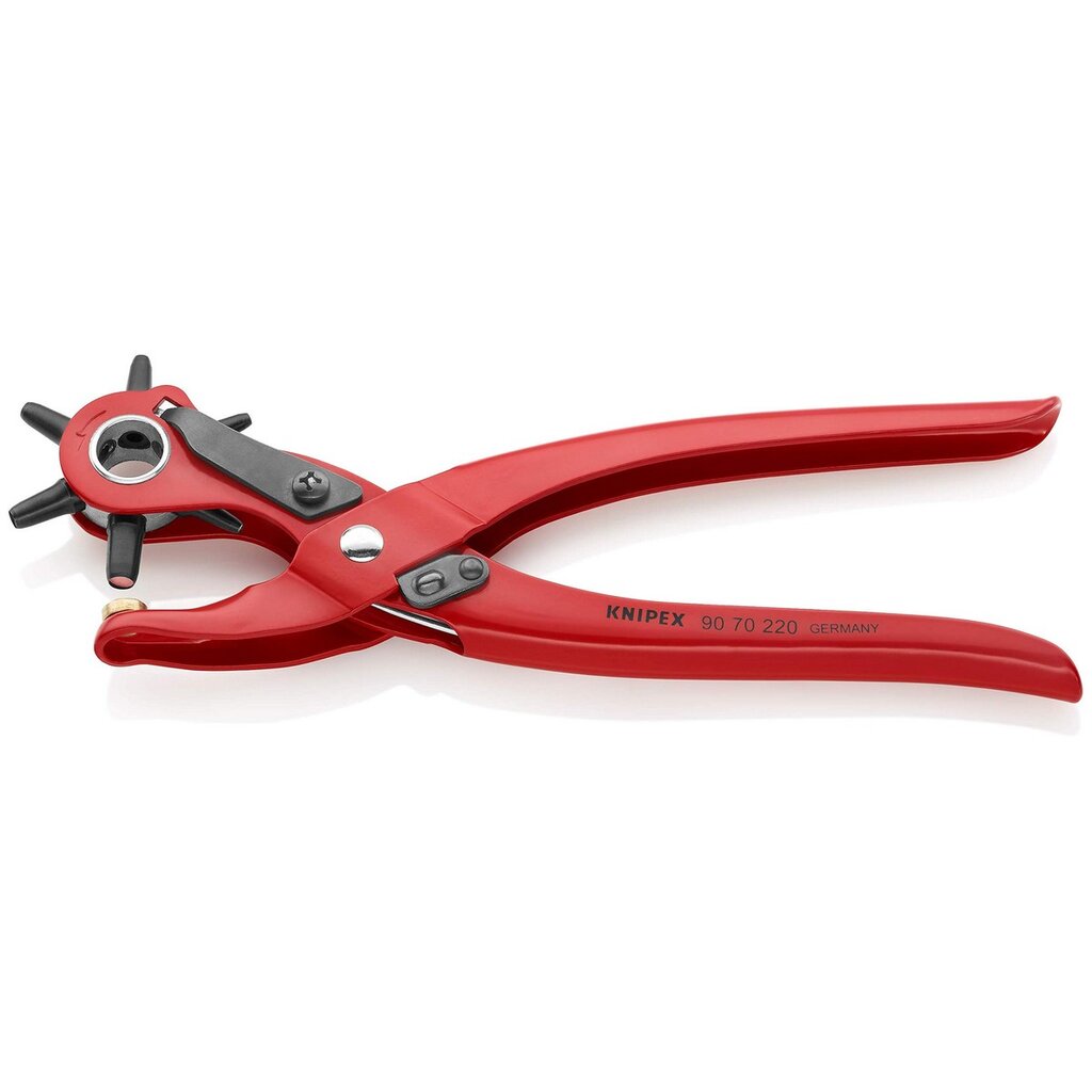 Replės Knipex 9070220 kaina ir informacija | Mechaniniai įrankiai | pigu.lt