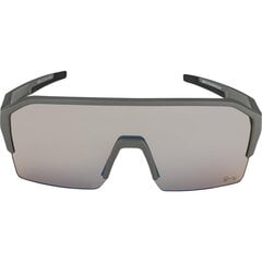 Alpina RAM HR Q-LITE V cycling glasses moon grey цена и информация | Спортивные очки | pigu.lt