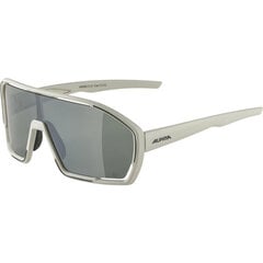 Alpina BONFIRE Q-LITE Running glasses Full rim Grey цена и информация | Спортивные очки | pigu.lt