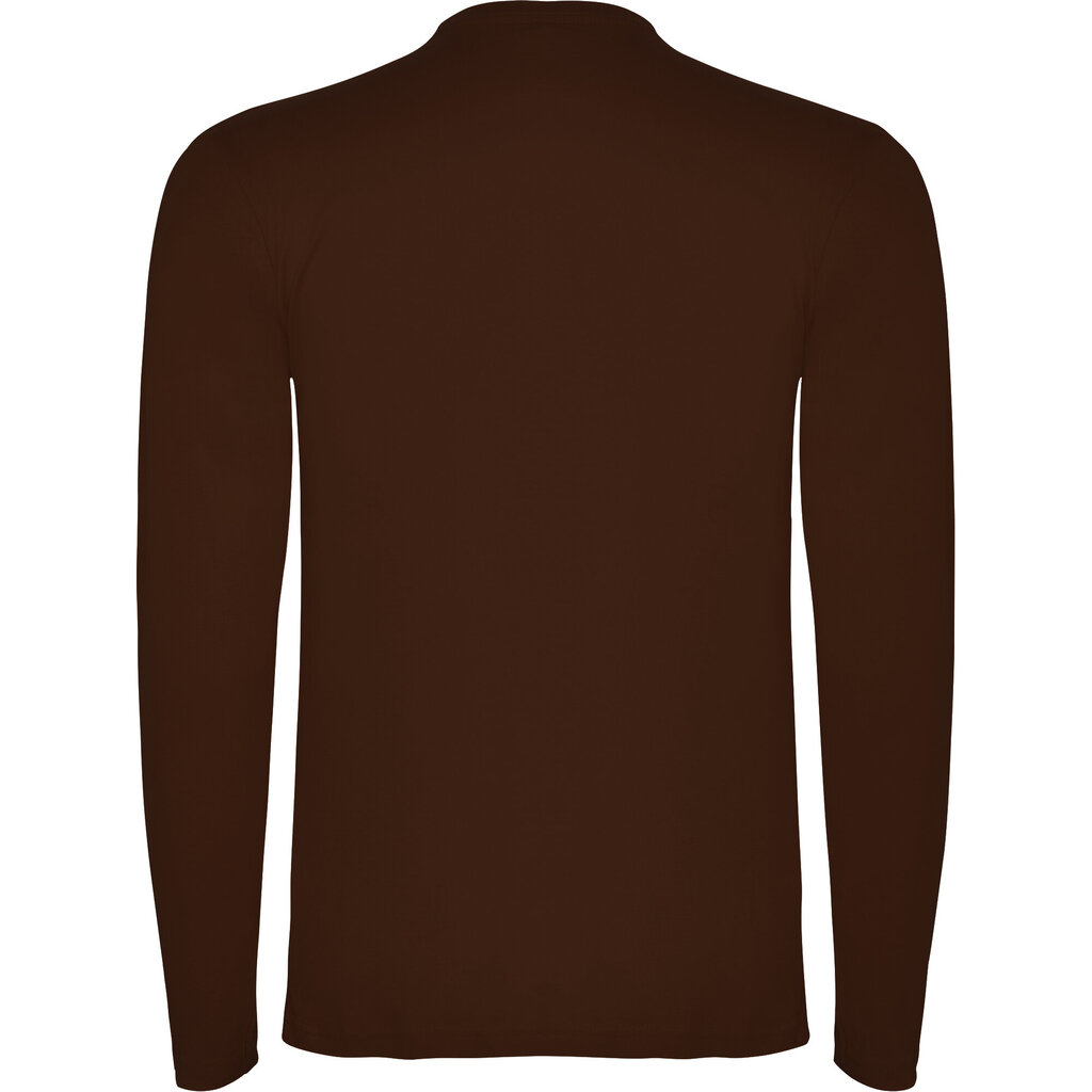 Marškinėliai vyrams Extreme, rudi цена и информация | Vyriški marškinėliai | pigu.lt