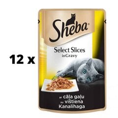 Ėdalas katėms Sheba, su vištiena, maišeliuose, 85 g x 12 vnt. pakuotė kaina ir informacija | Konservai katėms | pigu.lt
