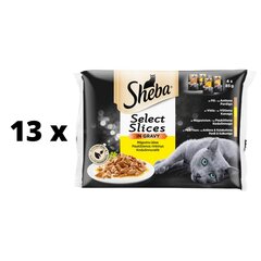Корм для кошек Sheba, микс из птицы, в пакетиках, 4 x 85 г x 13 шт. упаковка цена и информация | Консервы для кошек | pigu.lt