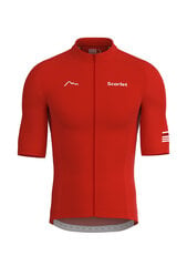Dviratininko marškinėliai Scarlet Road Racer kaina ir informacija | Dviratininkų apranga | pigu.lt