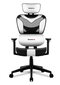 Žaidimų kėdė Huzaro Combat 8.0, balta/juoda kaina ir informacija | Biuro kėdės | pigu.lt