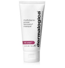 Veido kaukė Dermalogica MultiVitamin Power Recovery Masque, 15ml цена и информация | Маски для лица, патчи для глаз | pigu.lt