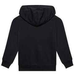 Džemperis champion legacy hooded sweatshirt 305916kk001 kaina ir informacija | Megztiniai, bluzonai, švarkai berniukams | pigu.lt