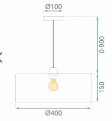 Pakabinamas šviestuvas APP1016-1CP kaina ir informacija | Pakabinami šviestuvai | pigu.lt