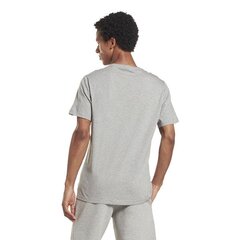 Marškinėliai vyrams Reebok hr9032, pilki kaina ir informacija | Vyriški marškinėliai | pigu.lt