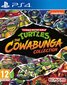 Teenage Mutant Ninja Turtles: The Cowabunga Collection kaina ir informacija | Kompiuteriniai žaidimai | pigu.lt