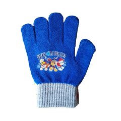 Детские перчатки Paw Patrol цена и информация | Шапки, перчатки, шарфы для мальчиков | pigu.lt