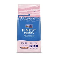 Fish4Dogs Finest Salmon Puppy šuniukuams su lašiša, 6 kg kaina ir informacija | Sausas maistas šunims | pigu.lt