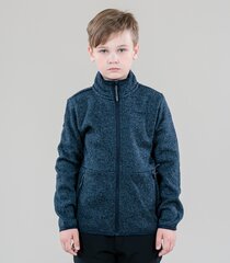 Детская кофта Icepeak Kotlik 51739-2*391, тёмно-синяя 6438522637178 цена и информация | Свитеры, жилетки, пиджаки для мальчиков | pigu.lt