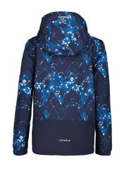 Striukė vaikams Icepeak Kids Softshell, mėlyna kaina ir informacija | Striukės berniukams | pigu.lt