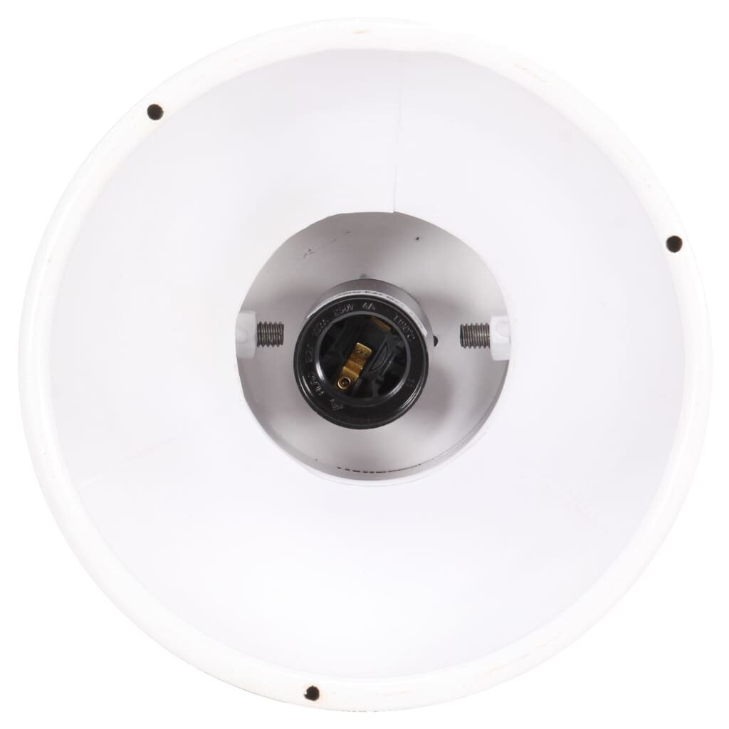VidaXL lubinis šviestuvas kaina ir informacija | Lubiniai šviestuvai | pigu.lt