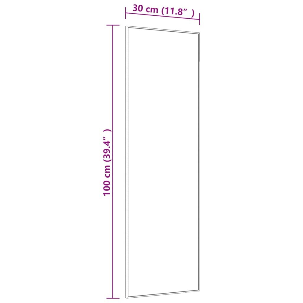 vidaXL Veidrodis ant durų, juodas, 30x100cm, stiklas ir aliuminis цена и информация | Veidrodžiai | pigu.lt