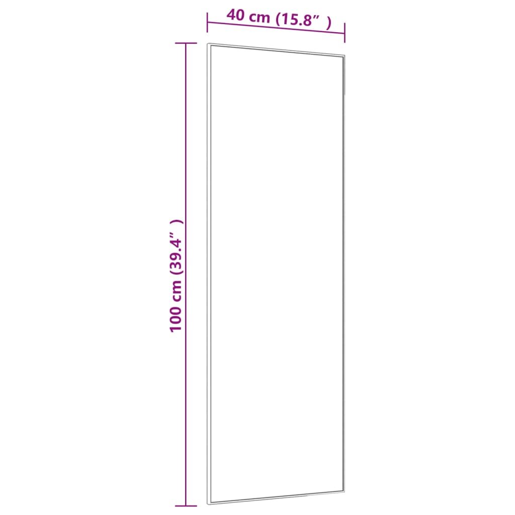 vidaXL veidrodis ant durų, juodas, 40x100cm, stiklas ir aliuminis цена и информация | Veidrodžiai | pigu.lt