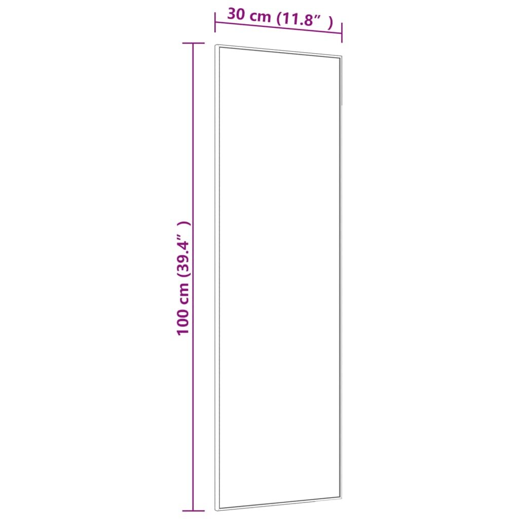 vidaXL Veidrodis ant durų, auksinis, 30x100cm, stiklas ir aliuminis цена и информация | Veidrodžiai | pigu.lt