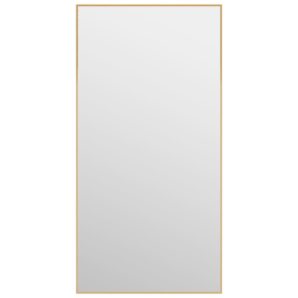 vidaXL Veidrodis ant durų, auksinis, 40x80cm, stiklas ir aliuminis kaina ir informacija | Veidrodžiai | pigu.lt