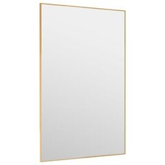 vidaXL Veidrodis ant durų, auksinis, 50x80cm, stiklas ir aliuminis цена и информация | Зеркала | pigu.lt