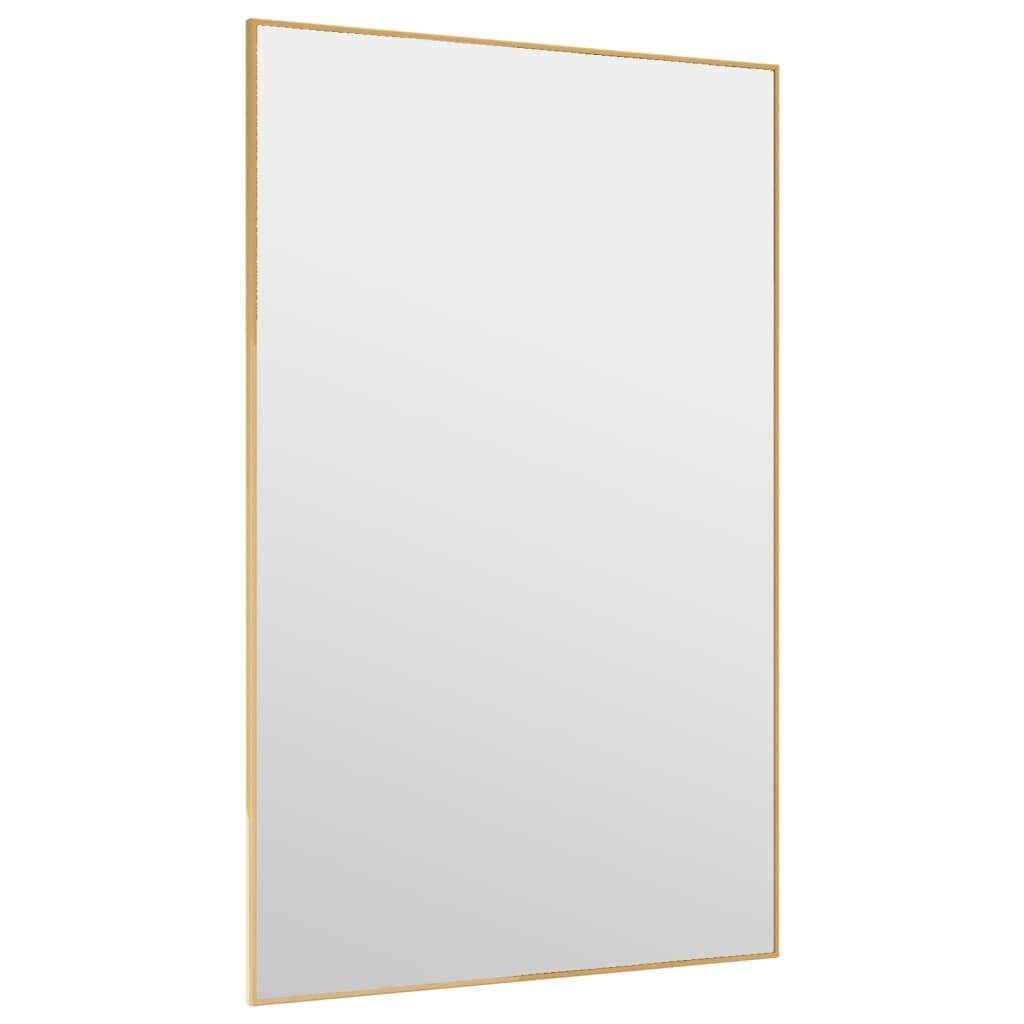 vidaXL Veidrodis ant durų, auksinis, 50x80cm, stiklas ir aliuminis kaina ir informacija | Veidrodžiai | pigu.lt
