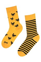 Хлопковые носки жёлтого цвета с изображением чёрных кошек и полосок на Хэллоуин SCAREDY-CAT цена и информация | Женские носки | pigu.lt