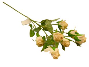 Ветка розы цена и информация | Искусственные цветы | pigu.lt