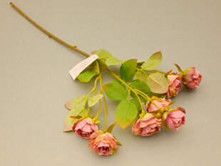 Rožių šaka цена и информация | Искусственные цветы | pigu.lt