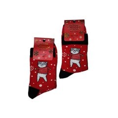 Рождественские мужские носки цена и информация | Мужские носки | pigu.lt