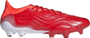 Взрослые кроссовки для футзала Adidas  Predator Edge.4 Унисекс Разноцветный цена и информация | Футбольные бутсы | pigu.lt