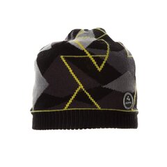 Детская шапка Huppa Power 94070000*22409, черная 4741632131170 цена и информация | Шапки, перчатки, шарфы для мальчиков | pigu.lt