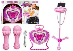 Žaislinis mikrofonas Lean Toys, rožinis kaina ir informacija | Lavinamieji žaislai | pigu.lt