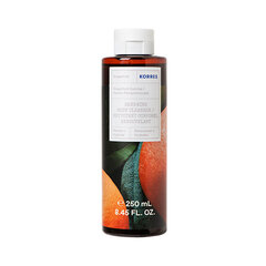 Dušo želė Korres Grapefruit Sunrise Revitalisierendes Duschgel, 250 ml kaina ir informacija | Dušo želė, aliejai | pigu.lt