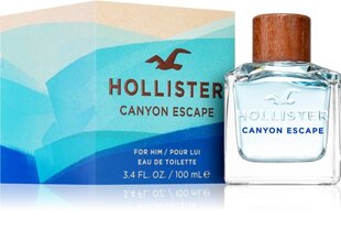Tualetinis vanduo Hollister Canyon Escape Man EDT vyrams 100 ml kaina ir informacija | Kvepalai vyrams | pigu.lt