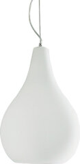 Innolux pakabinamas šviestuvas Pisara цена и информация | Подвесной светильник | pigu.lt