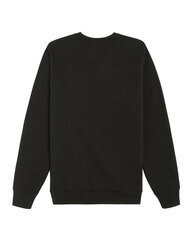 Džemperis vyrams Dickies, juodas kaina ir informacija | Džemperiai vyrams | pigu.lt